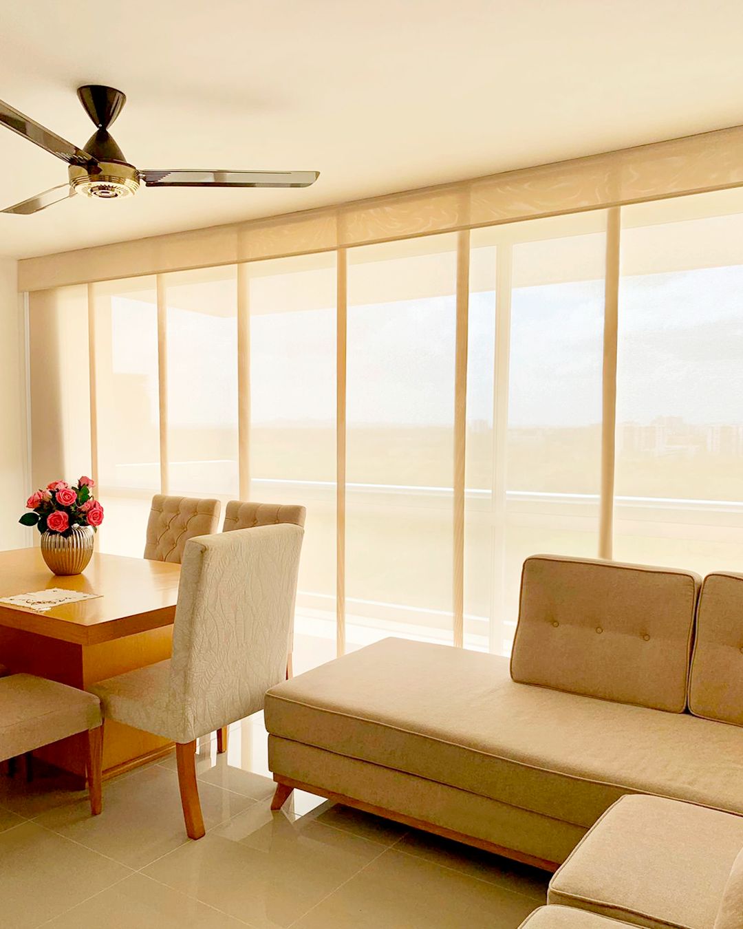 Cortinas Panel Japones